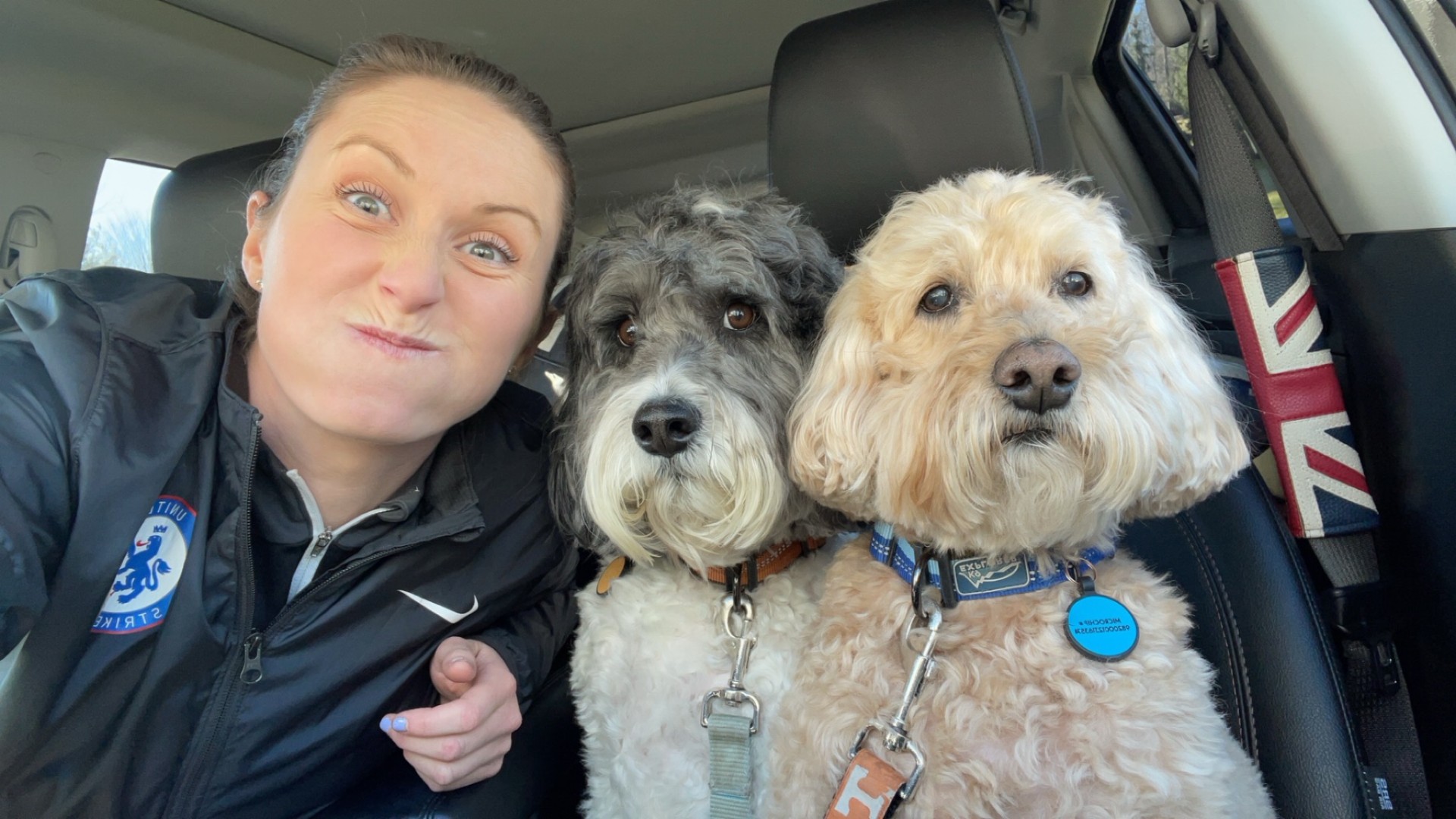 Dog Walking